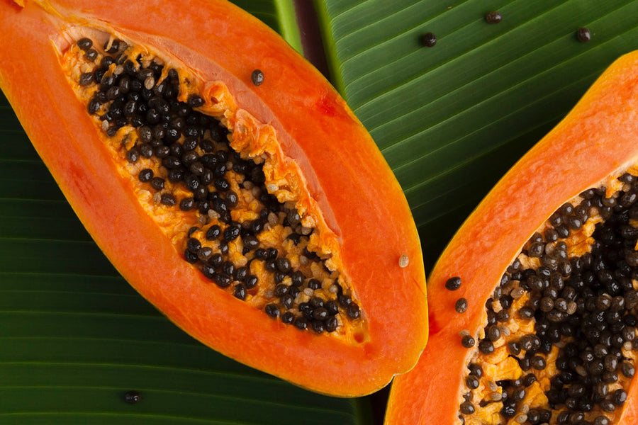 PAPAYA