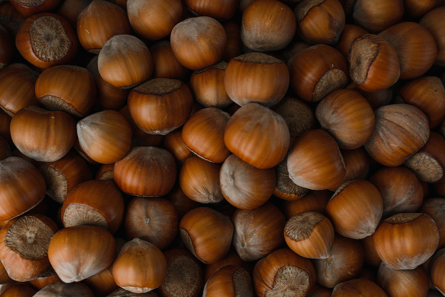 HAZELNUT SHELL