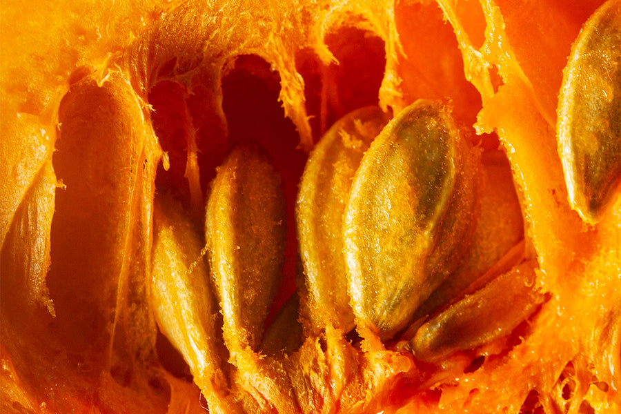 PUMPKIN SEED